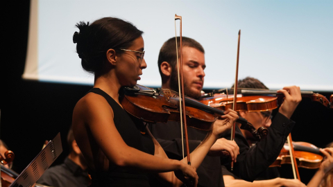 100 sanatçı 14 konser