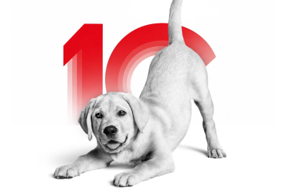 Royal Canın Türkiye 10. Yaşını Kutluyor