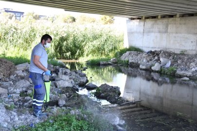 Çanakkale'de ısıran karasinek alarmı