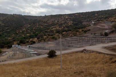 Dikili’ye tam teşekküllü sokak hayvanları kampüsü